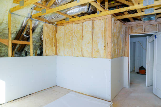 Eco-Friendly or Green Insulation Solutions in Virginia, IL