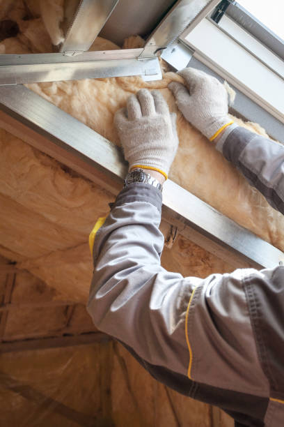 Best Insulation Removal  in Virginia, IL